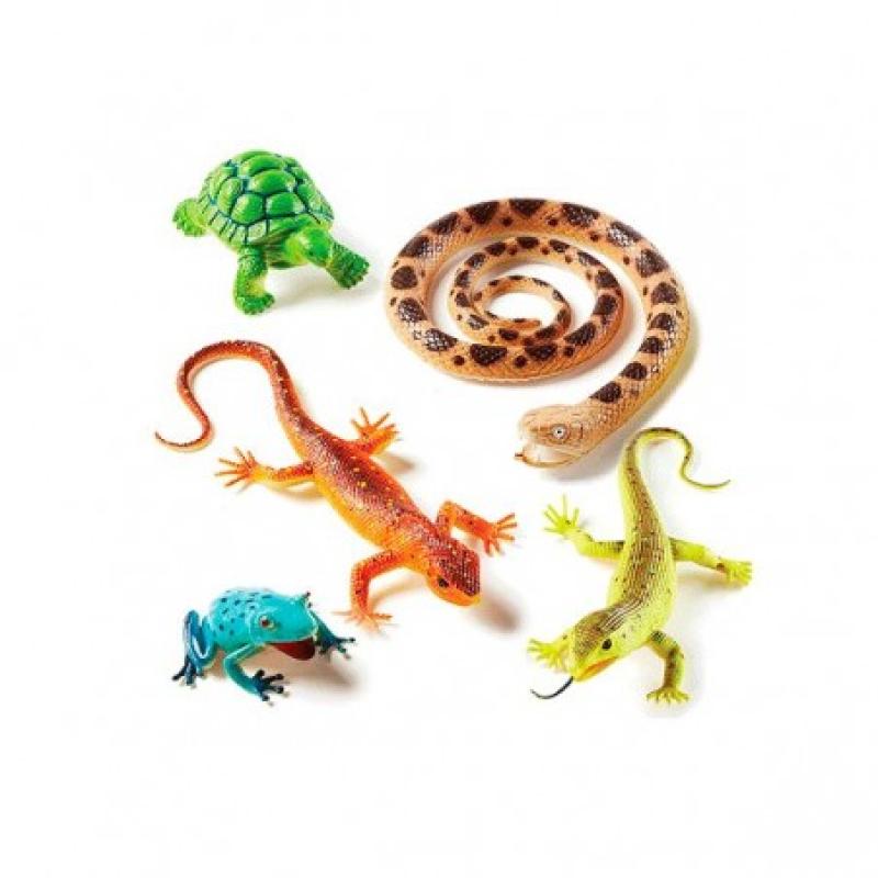 REPTILES Y ANFIBIOS XL