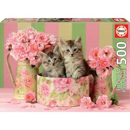 EDUCA 500 GATITOS CON ROSAS