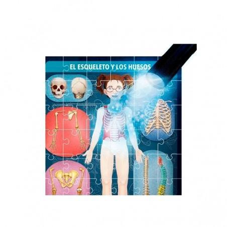 THE HUMAN BODY UNDER X-RAY